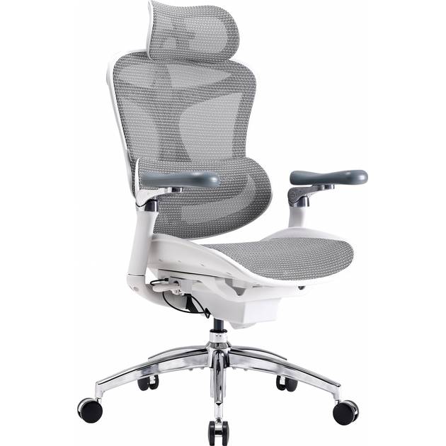 Кресло SIHOO DORO C300 Pro Mesh White (DORO-C300-PRO-M102) Вторичный цвет серый