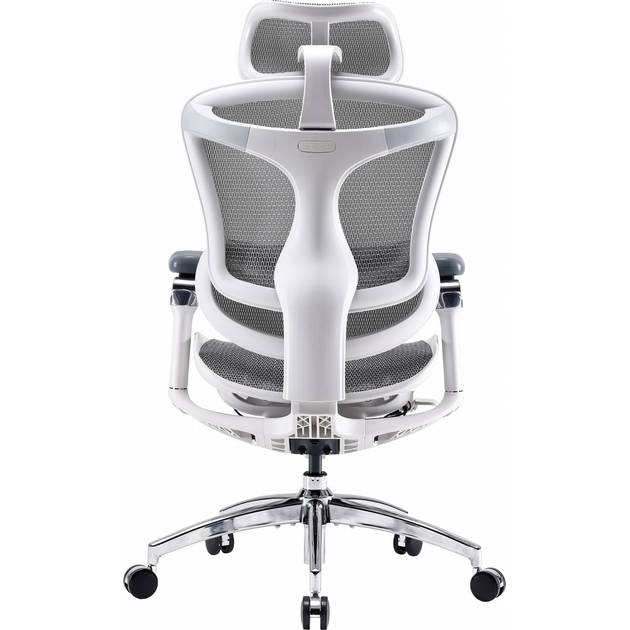 Кресло SIHOO DORO C300 Pro Mesh White (DORO-C300-PRO-M102) Тип для руководителя