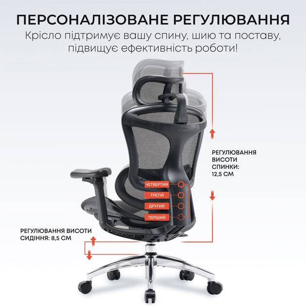 Внешний вид Кресло SIHOO DORO C300L Mesh Black (DORO-C300L-A3-101)