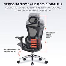 Кресло SIHOO DORO C300L Mesh Black (DORO-C300L-A3-101)