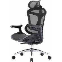 Кресло SIHOO DORO C300L Mesh Black (DORO-C300L-A3-101)