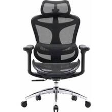 Кресло SIHOO DORO C300L Mesh Black (DORO-C300L-A3-101)