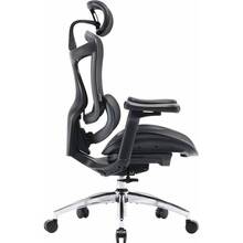 Кресло SIHOO DORO C300L Mesh Black (DORO-C300L-A3-101)