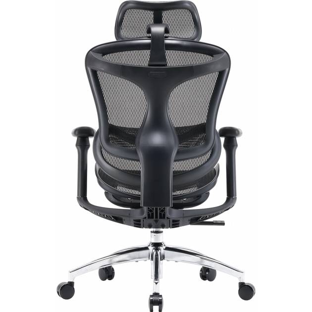 Кресло SIHOO DORO C300L Mesh Black (DORO-C300L-A3-101) Тип для руководителя
