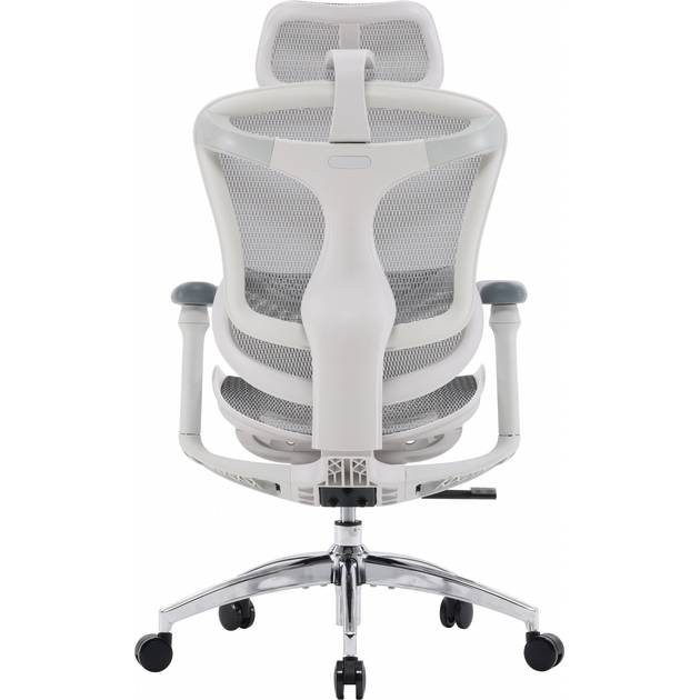 Кресло SIHOO DORO C300L Mesh White (DORO-C300L-A3-102) Тип для руководителя