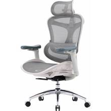 Кресло SIHOO DORO C300L Mesh White (DORO-C300L-A3-102)
