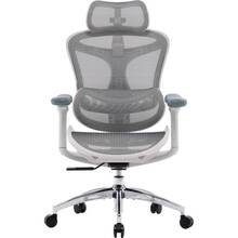 Кресло SIHOO DORO C300L Mesh White (DORO-C300L-A3-102)