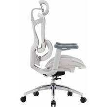 Кресло SIHOO DORO C300L Mesh White (DORO-C300L-A3-102)
