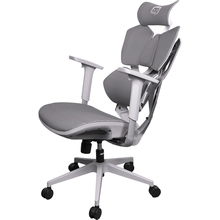 Крісло SIHOO Xallking X5C Mesh Grey (X5FC-N101)