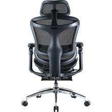 Крісло SIHOO DORO C300 Pro Mesh Black (DORO-C300-PRO-M101-JT)