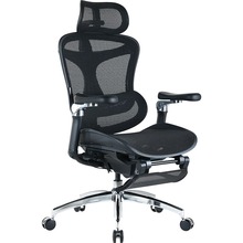 Крісло SIHOO DORO C300 Pro Mesh Black (DORO-C300-PRO-M101-JT)