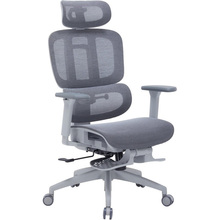 Крісло OFFICEPRO Skyline Footrest OC750 Gray/Dark Gray (OC750-G-DG-DG)