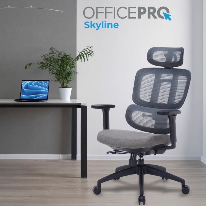 Заказать Кресло OFFICEPRO Skyline OC580-B-DG-DG Black/Dark Gray