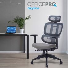 Кресло OFFICEPRO Skyline OC580-B-DG-DG Black/Dark Gray