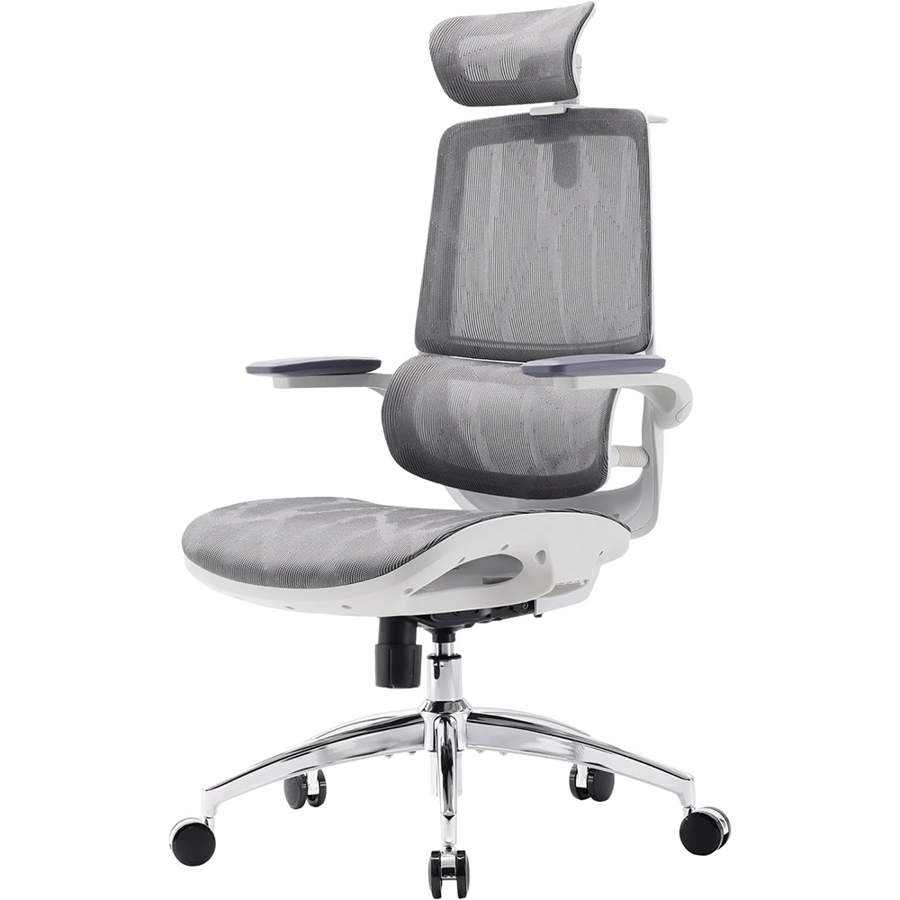Кресло SIHOO M59AS Mesh Gray (M59AS-M301) Тип для персонала