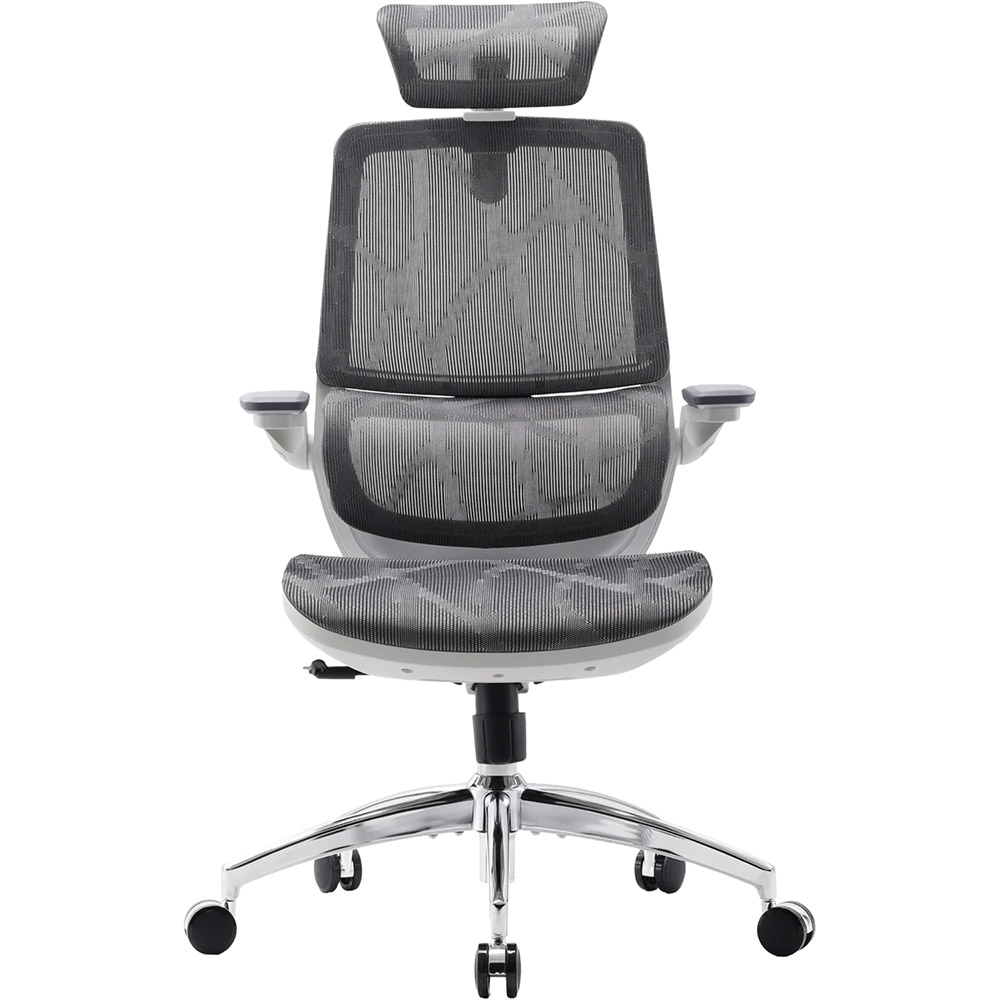 Кресло SIHOO M59AS Mesh Gray (M59AS-M301)