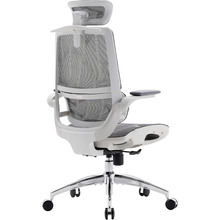 Кресло SIHOO M59AS Mesh Gray (M59AS-M301)