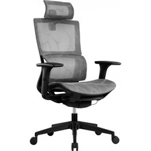 Крісло GT RACER X-D20 Gray