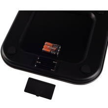 Весы напольные ERGO PSB 490