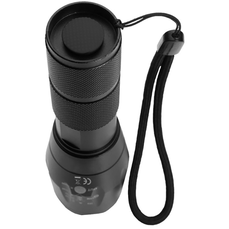 Фонарь SCHWARZWOLF DELGADA Cree T6 2200 mAh Black (F2301000AJ3) Тип фонарь