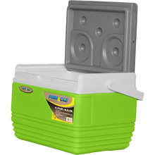 Изотермический контейнер Pinnacle Eskimo 4.5 л Turquoise (682622060060)