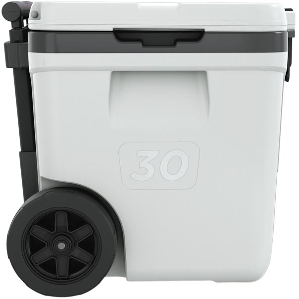 Термобокс NINJA FrostVault 28L Hard Coole (FB230EUWH) Тип термобокс
