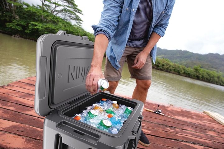 В Украине Термобокс NINJA FrostVault 42L Hard Coole (FB245EUGY)
