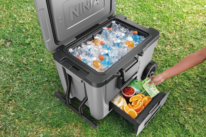 Обзор Термобокс NINJA FrostVault 42L Hard Coole (FB245EUGY)