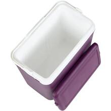 Термобокс ADRIATIC 24л Violet (8075)