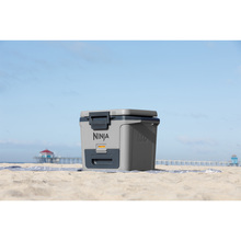 Термобокс NINJA FrostVault 28L Hard Cooler Slate Grey (FB131EUGY)