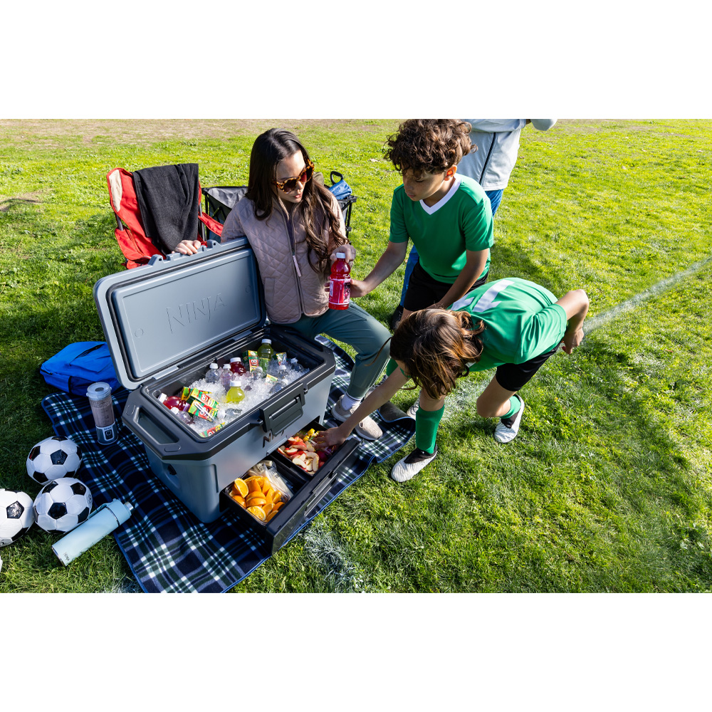 Фото Термобокс NINJA FrostVault 28L Hard Cooler Slate Grey (FB131EUGY)