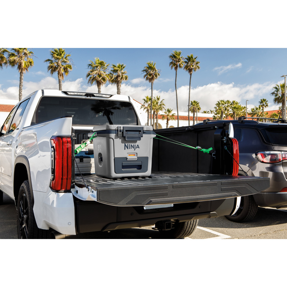 Фото 19 Термобокс NINJA FrostVault 28L Hard Cooler Slate Grey (FB131EUGY)