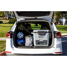 Термобокс NINJA FrostVault 28L Hard Cooler Slate Grey (FB131EUGY)