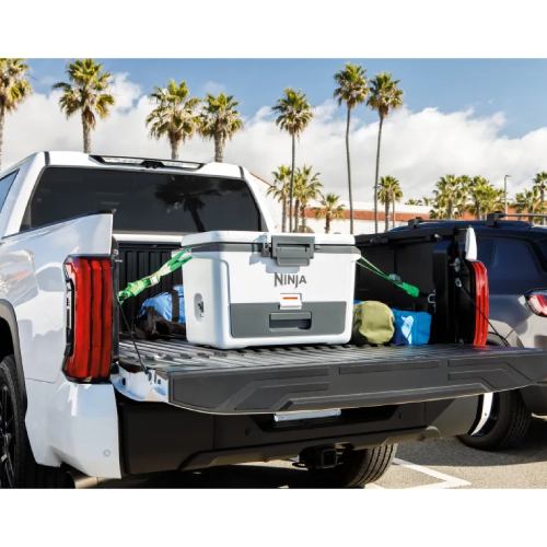 Зображення Термобокс NINJA FrostVault Hard Cooler Slate 47 л Cloud White (FB151EUWH)