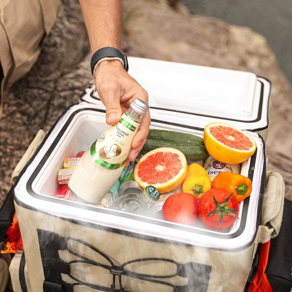 Зовнішній вигляд Акумуляторний холодильник-рюкзак LITHELI (U20HW05-0U101)