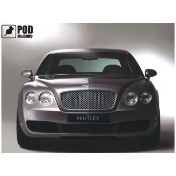 Коврик PODMYSHKU Bentley