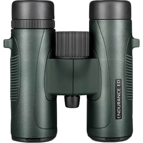 

Бинокль HAWKE Endurance Top Hinge ED 10x32 Green (36203), Endurance Top Hinge ED 10x32 (Green)