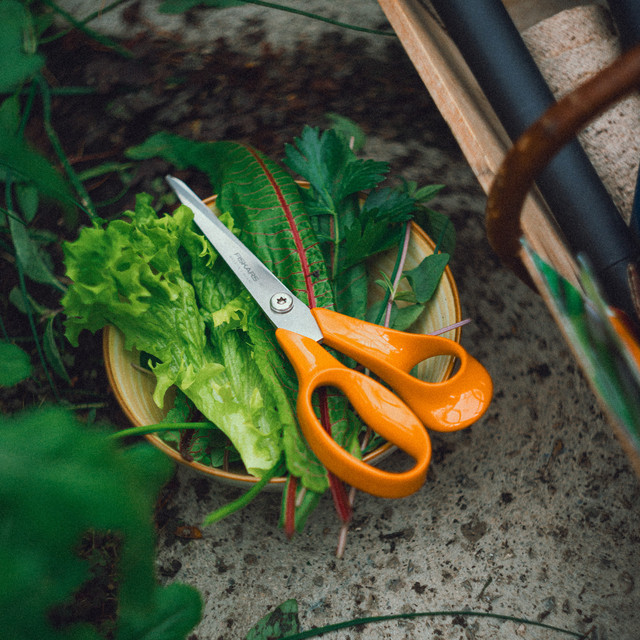 Фото 3 Ножиці кухонні FISKARS Classic 21 см (1075031)