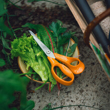 Ножиці кухонні FISKARS Classic 21 см (1075031)