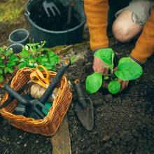 Ножиці кухонні FISKARS Classic 21 см (1075031)