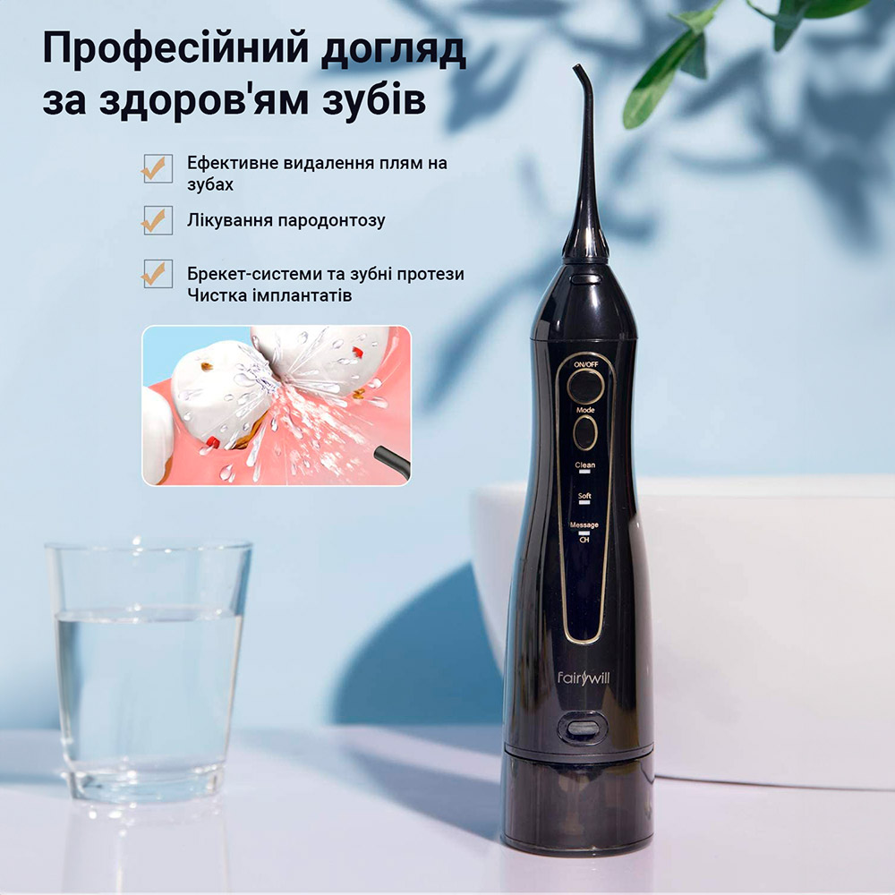 Насадки для іригатора FAIRYWILL F5020E Black 4шт (FW-F5020E) Дизайн для дорослих