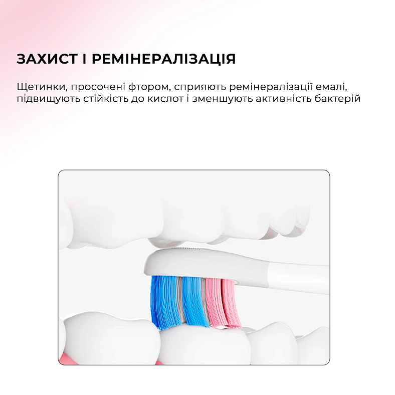 Зовнішній вигляд Електрична зубна щітка OCLEAN X Kids Set Pink (6970810557220)