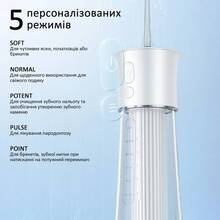 Набір FAIRYWILL Іригатор F30 White + Електрична зубна щітка P11 Black (F30W-P11B)
