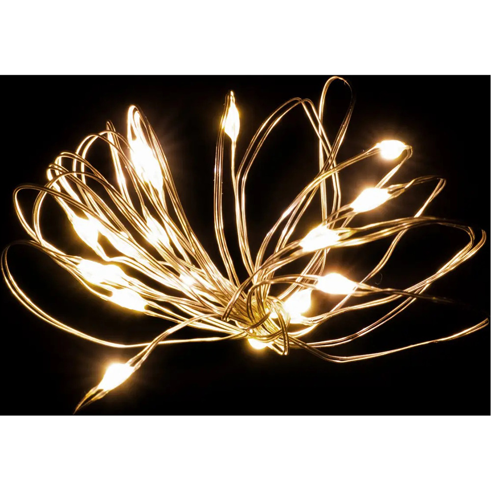 Гирлянда LUCA LIGHTING Струна 2 м (1068436) Фото 2 Гирлянда LUCA LIGHTING Струна 2 м (1068436)