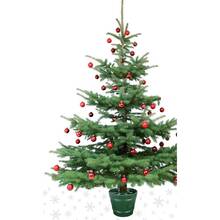 Подставка для елки FORM PLASTIC PLANET 1 11л Dark Green (0673-012)