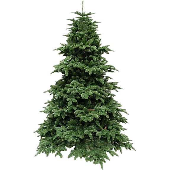 Елка искусственная TRIUMPH TREE Abies Nordmann de Luxe 2.15 м Green (389517)