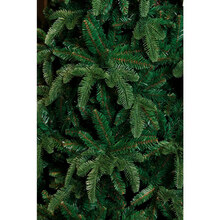 Елка искусственная TRIUMPH TREE Abies Nordmann de Luxe 2.15 м Green (389517)