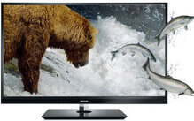 LED-телевизор TOSHIBA 55WL863G