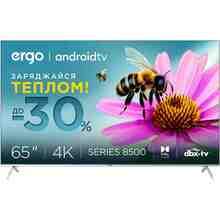 Купить в Запорожье - Телевизор ERGO 65GUS8555
