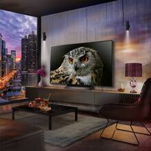 Телевизор LG OLED65C46LA